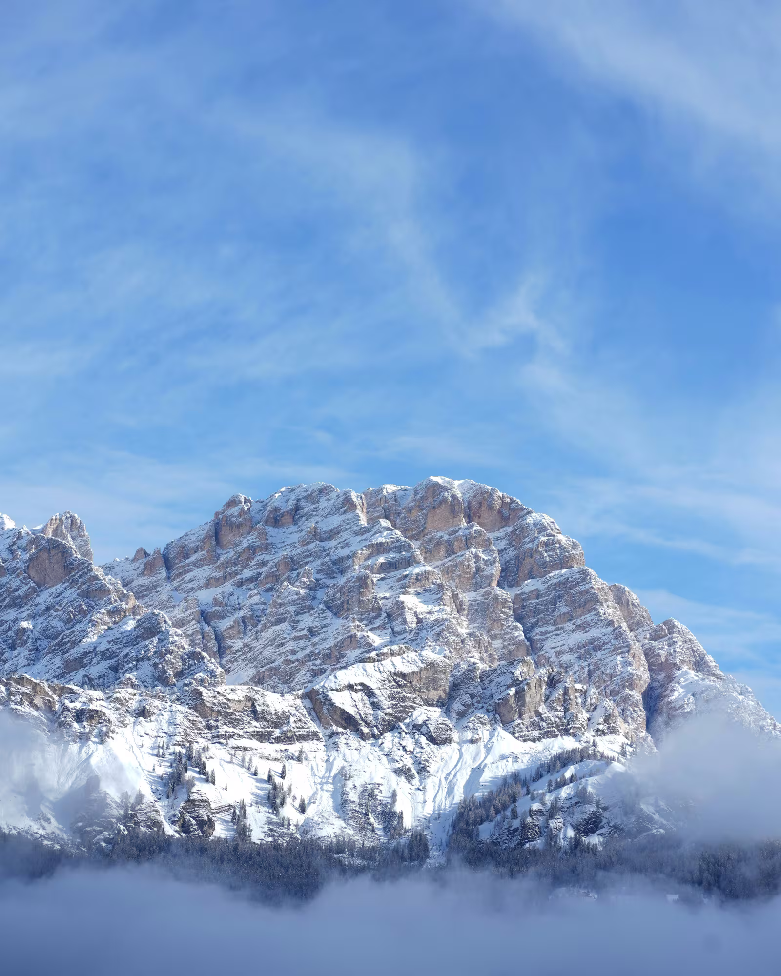 Snow-covered mountain peaks rise above low cloud beneath a blue sky.